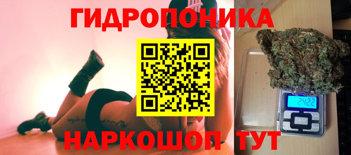 Зерноград  Бошки марихуана семена  Вход с VPN  МАРИХУАНА сатива  Марихуана сатива 